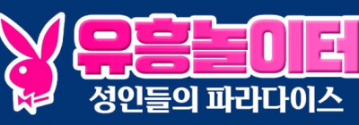 유흥놀이터
