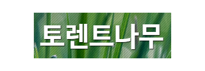 토렌트나무